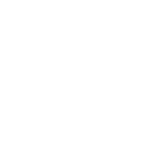 ActionCoach